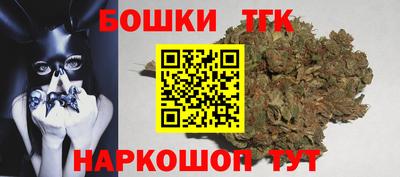индика Обь
