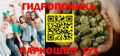 индика Обь