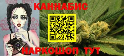 индика Обь