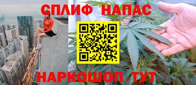 индика Обь