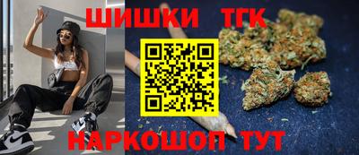 индика Обь