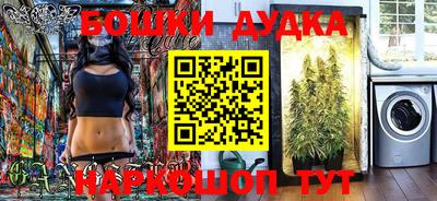 индика Обнинск