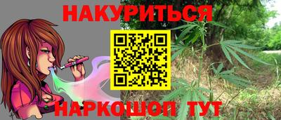 индика Обнинск