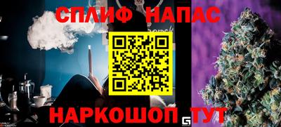индика Обнинск