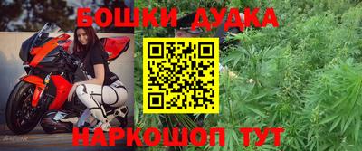 индика Обь