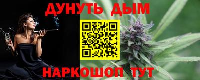 индика Обь