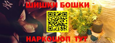 индика Обнинск