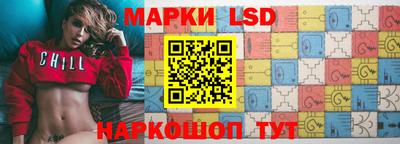 индика Обь