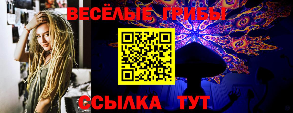 Ханты-Мансийск  Галлюциногенные грибы Psilocybe  Вход с VPN 